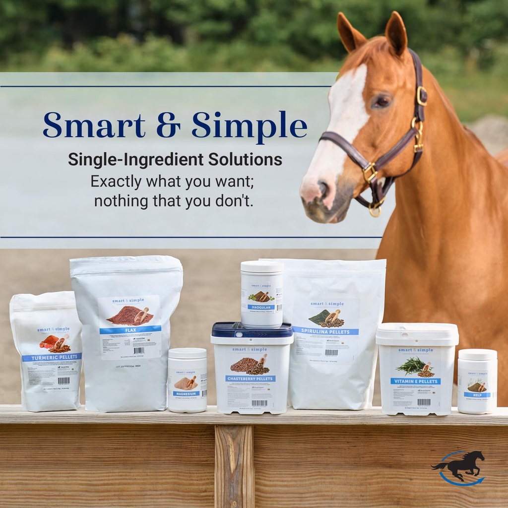 smartequine-smart-simple-magnesium-horse-81UZtbljmAL.jpg