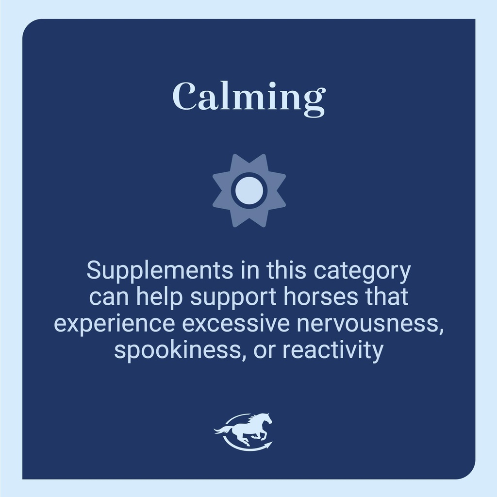 smartequine-smart-simple-magnesium-horse-612etFrRycL.jpg