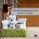 smartequine-smartlytes-3-7-lb-56-serving-81OtKH36JlL.jpg