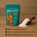 celtic-tradition-equine-electrolytes-nat-81g8SeXr5ZL.jpg