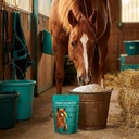 celtic-tradition-equine-electrolytes-nat-81ZxrMiM4lL.jpg