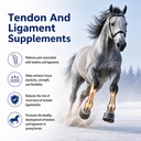 tendon-repair-supplement-horse-equine-te-81HX+rMw0zL.jpg