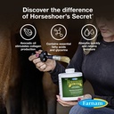 farnam-horseshoer-s-secret-deep-penetrat-81BnNWL6LZL.jpg