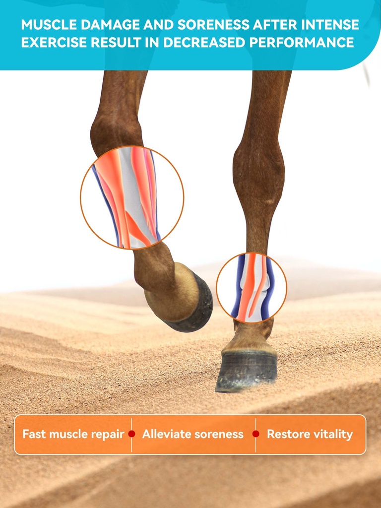 natural-vitamin-e-selenium-for-horses-mu-81OSD8MGn7L.jpg