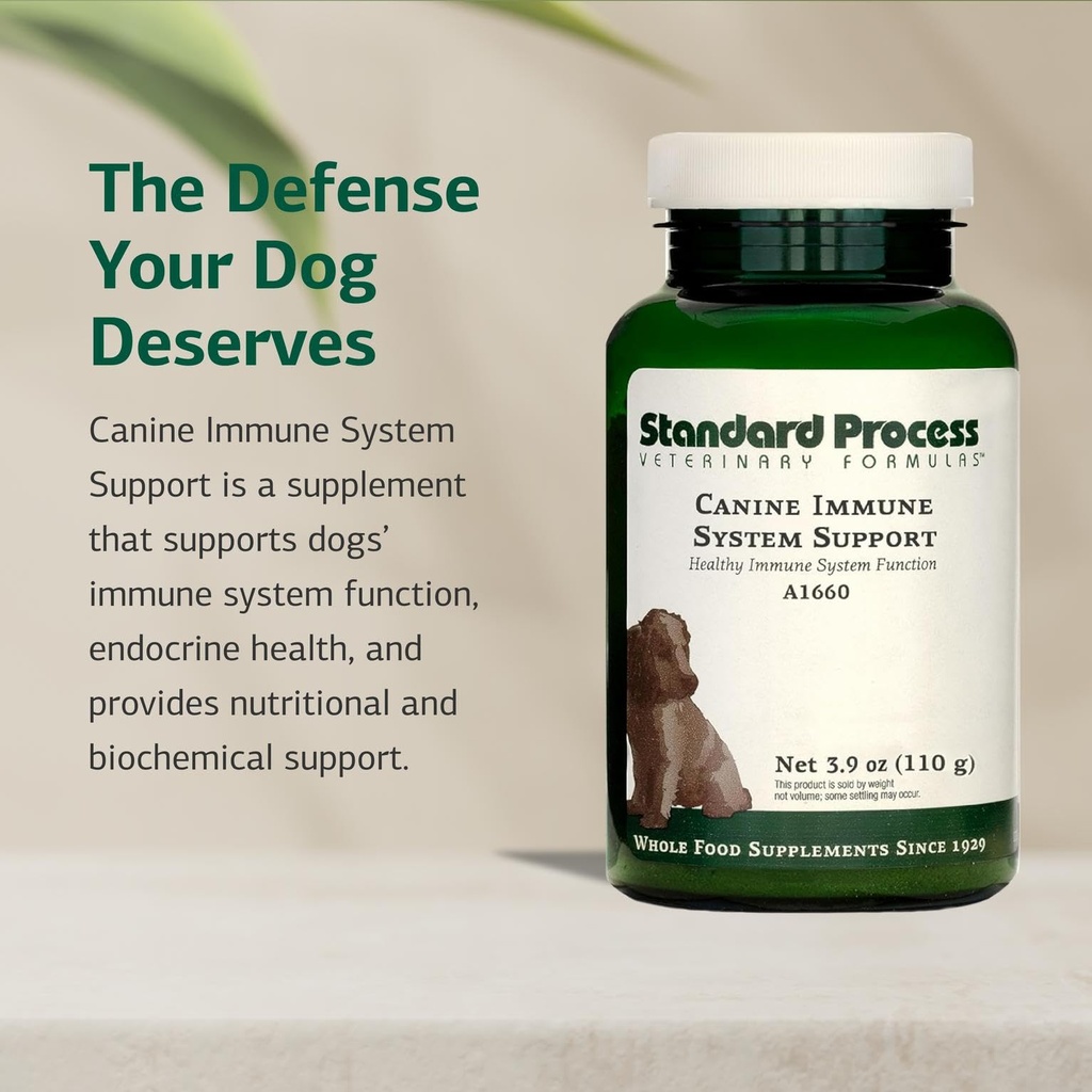 standard-process-canine-immune-system-su-71tD8PzEz1L.jpg