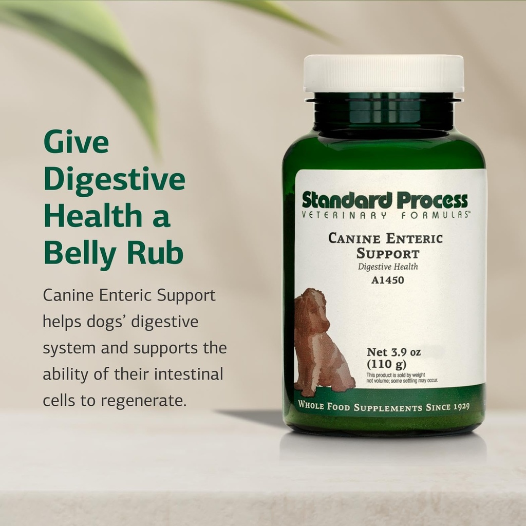 standard-process-canine-enteric-support--71LKQF-LuSL.jpg
