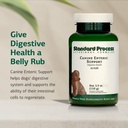 standard-process-canine-enteric-support--71LKQF-LuSL.jpg