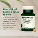 standard-process-vf-bio-dent-for-pets-90-71nzXXwflEL.jpg