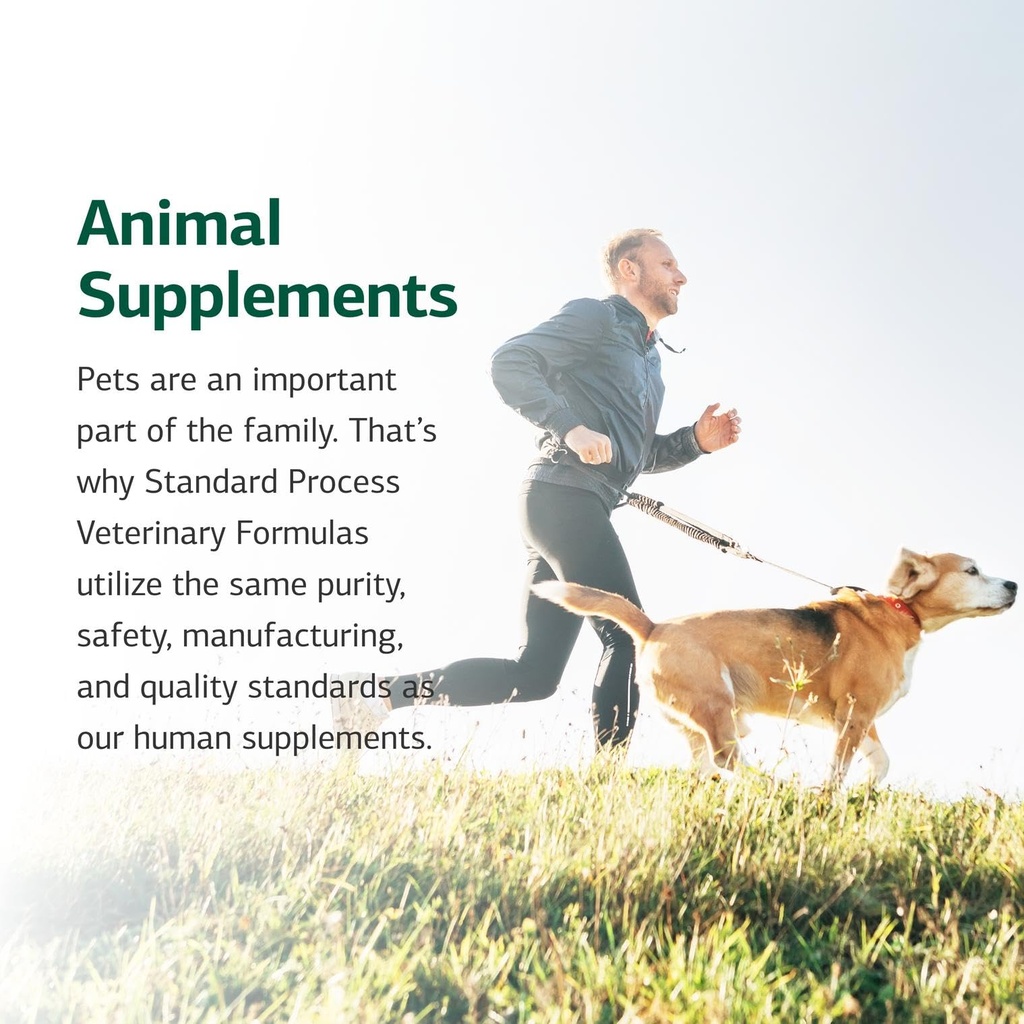 standard-process-equine-immune-support-8-71U8PbVbtHL.jpg