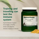 standard-process-equine-immune-support-8-71L-5SMqx8L.jpg