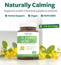 antioxidants-st-johns-wort-2-month-suppl-5.jpg