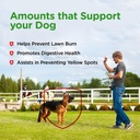 nutri-vet-grass-guard-chewables-for-dogs-91LP+adok8L.jpg