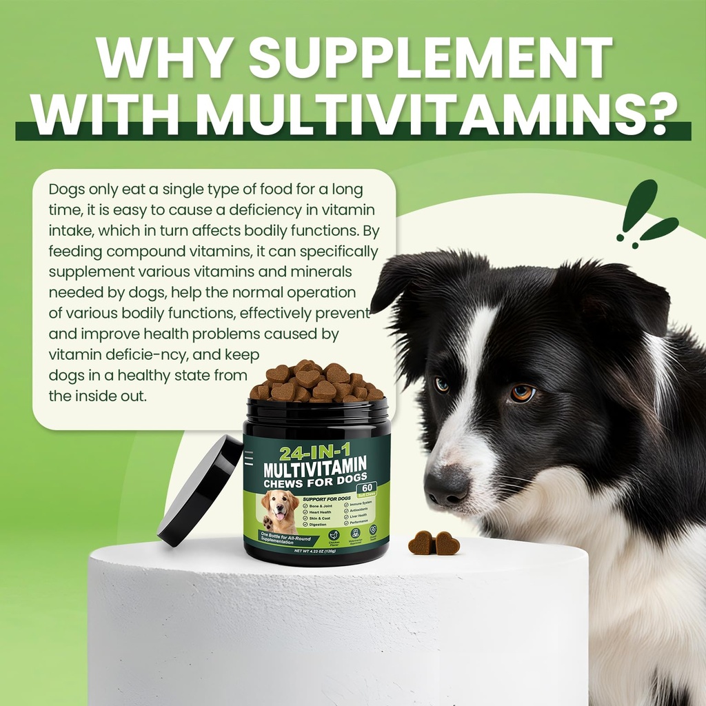 24-in-1-dog-vitamins-and-supplements-60--717tTe9hXlL.jpg