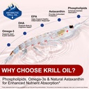 antarctic-krill-oil-2000mg-with-astaxant-71Om1JrLhVL.jpg