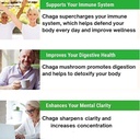 sayan-siberian-wild-harvested-chaga-mush-71H2O08PI8L.jpg