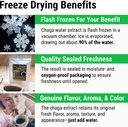 sayan-siberian-wild-harvested-chaga-mush-71fnKSeATNL.jpg