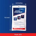 instant-cooler-ice-pack-ice-packs-6-coun-61IuTHVL5WL.jpg