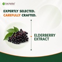 pure-nutrition-elderberry-extract-500mg--71EKWVnMk3L.jpg