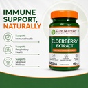pure-nutrition-elderberry-extract-500mg--71Jmp55qamL.jpg