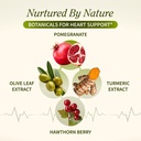 snap-supplements-heart-health-support-su-715GaHrxeyL.jpg