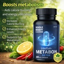 metabon-detox-capsules-metabon-whole-bod-71aV4YN4E1L.jpg