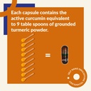 snec30-ayurvedic-curcumin-capsules-900mg-71RvTkbsAtL.jpg