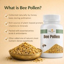onebee-raw-organic-bee-pollen-100-gm-ant-816bnfN0kPL.jpg
