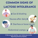 dive-daily-lactase-enzyme-chewable-table-61dE8iDSriL.jpg