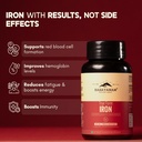 rasayanam-iron-supplement-for-women-men--81yocSFlGbL.jpg