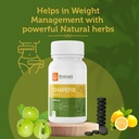 krishna-s-shapefix-tablet-helps-in-weigh-71ZqmWWPyhL.jpg