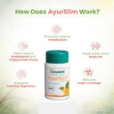 himalaya-wellness-ayurslim-capsules-pack-71SDw+-hBjL.jpg