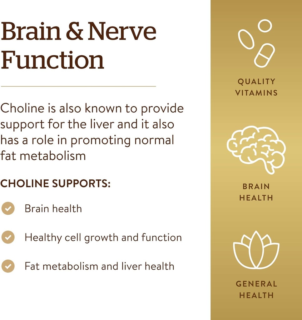 solgar-choline-vegetable-capsules-350-mg-61tWORC0aKL.jpg
