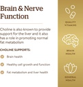 solgar-choline-vegetable-capsules-350-mg-61tWORC0aKL.jpg