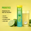 wow-life-science-gut-fine-probiotics-pre-61sdi0kG-kL.jpg