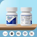 immunoseb-complete-digestive-enzyme-comp-71UDAUK5K+L.jpg