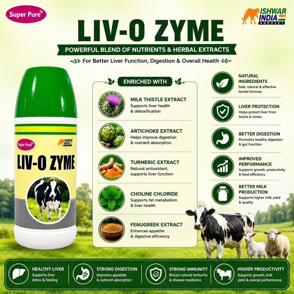 liv-o-zyme-liver-tonic-digestive-supplem-71T25zQQ7ZL.jpg