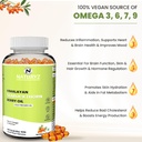 naturyz-himalayan-sea-buckthorn-oil-1120-61C6ya+319L.jpg