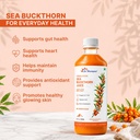 dr-morepen-himalayan-sea-buckthorn-juice-81hJ0geyGhL.jpg