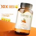 wellwith-ayuzera-sea-buckthorn-berry-oil-61duPtq0q1L.jpg