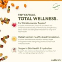 wellwith-ayuzera-sea-buckthorn-berry-oil-71OzSktsaAL.jpg