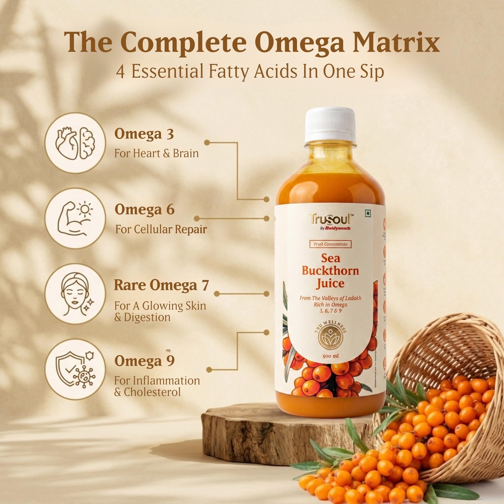 baidyanath-trusoul-sea-buckthorn-juice-5-81S5dvo2CPL.jpg