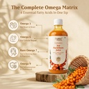 baidyanath-trusoul-sea-buckthorn-juice-5-81S5dvo2CPL.jpg