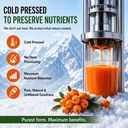 sea-buckthorn-pulp-concentrate-cold-pres-71U+rdVeoXL.jpg