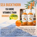 ayuniv-himalayan-sea-buckthorn-juice-100-71w8MJjJRgL.jpg