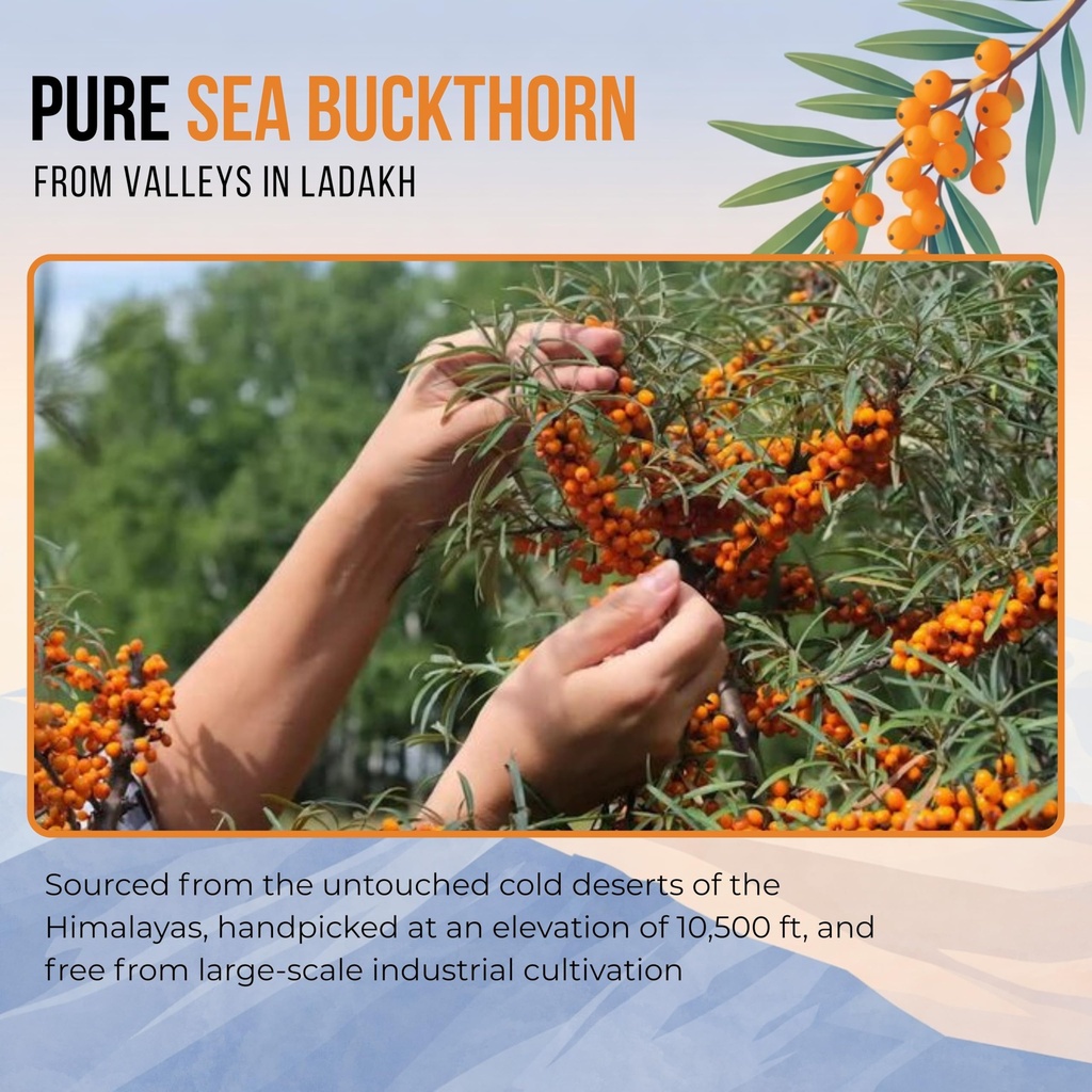 ayuniv-himalayan-sea-buckthorn-juice-100-81hZ3lA00IL.jpg