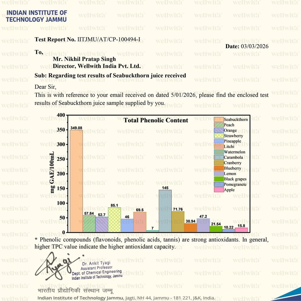 wellwith-by-ayuzera-himalayan-sea-buckth-81l+wQmW7oL.jpg