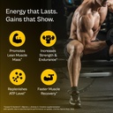 tata-1mg-creatine-monohydrate-each-batch-61GLYxzd+TL.jpg