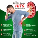 jeena-sikho-pathri-shuddhi-kit-ayurvedic-81aptOOc2WL.jpg