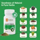 krishna-s-najlant-powder-herbal-respirat-71UDPX+bTyL.jpg
