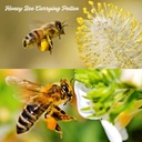 organic-bee-pollen-granules-100g-glass-j-813ts1VDFML.jpg